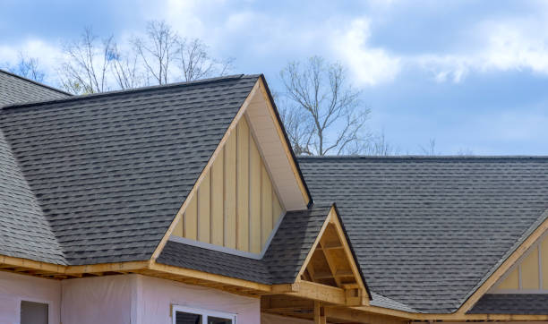 Best Sheet Metal Roofing  in Red Lick, TX